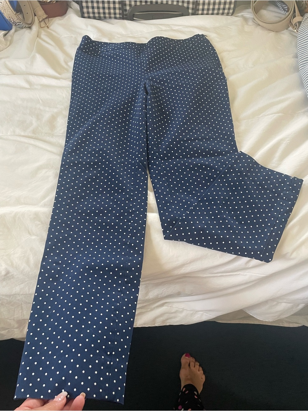 Talbots Navy with White Polka Dot Pants